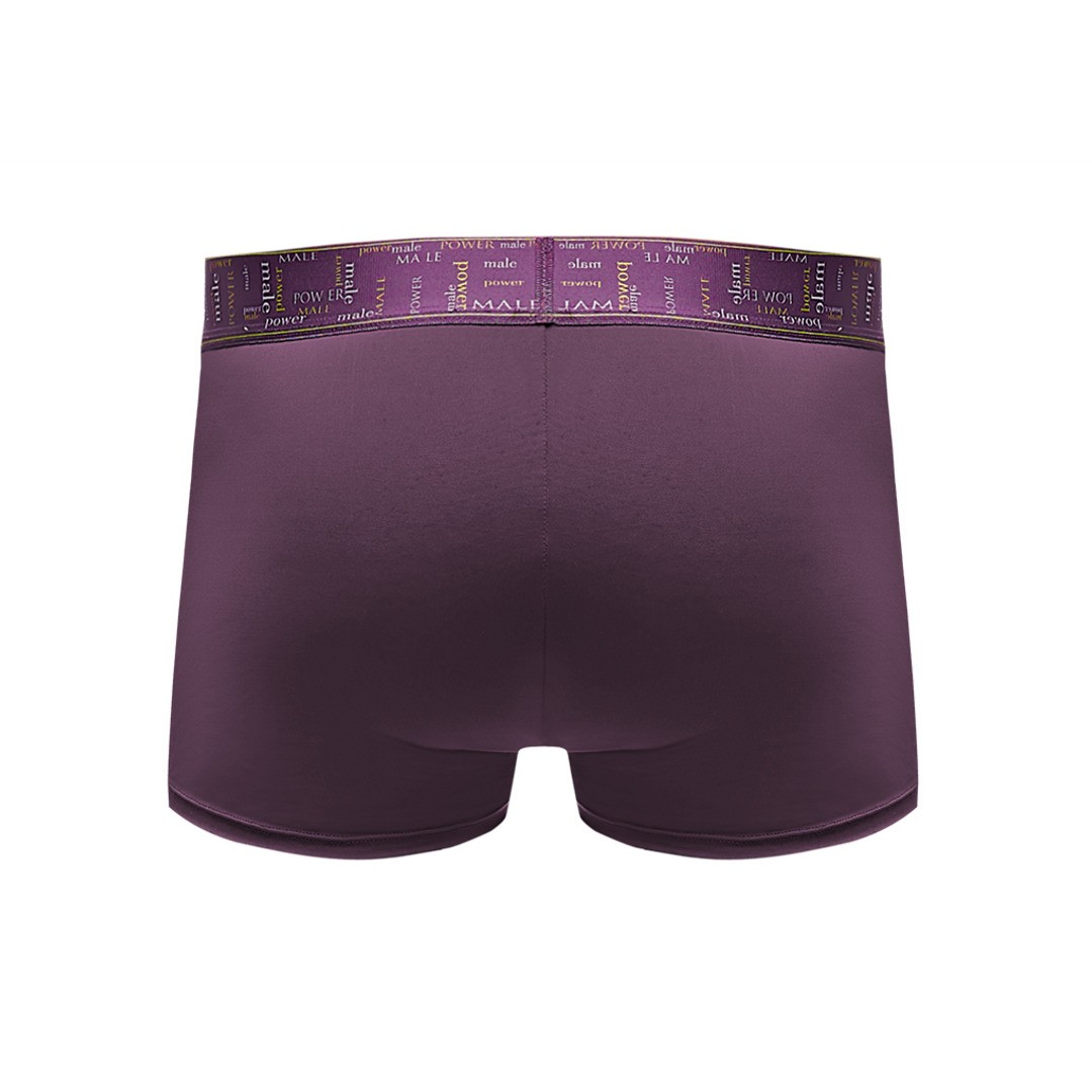 ENHANCER SHORT - EGGPLANT