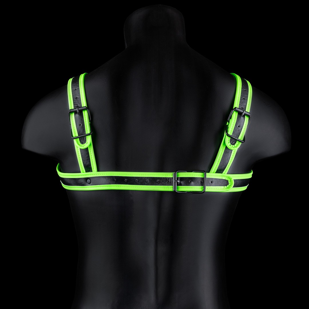 BUCKLE HARNESS - GLOW IN THE DARK - L/XL