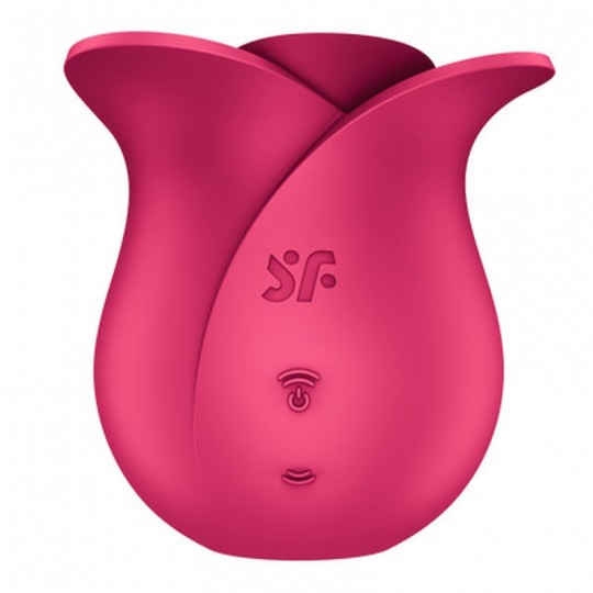 PRO 2 - MODERN ROSE - AIR PULSE VIBRATOR