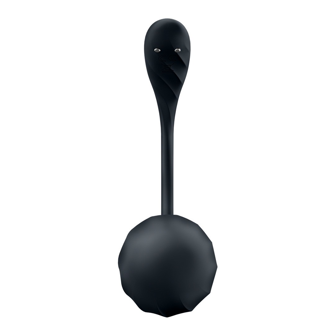 ŒUF VIBRANT AVEC APPLICATION RIBBED PETAL CONNECT APP NOIR SATISFYER