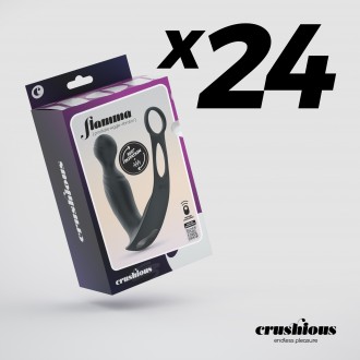 PACK DE 24 VIBRATEUR DE PROSTATE AVEC TÉLÉCOMMANDE FLAMMA CRUSHIOUS