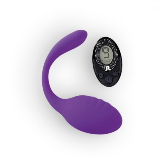 SMART DREAM II ADRIEN LASTIC VIBRATORE RICARICABILE CON MINI COMANDO VIOLA