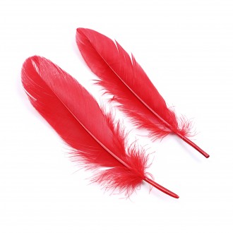 PACK OF 24 LOVER'S DREAM BONDAGE KIT CRUSHIOUS RED