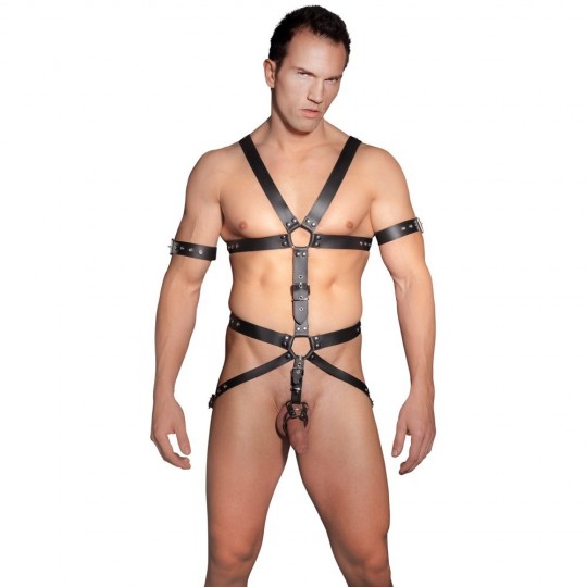 HARNESS