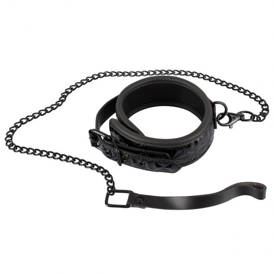 COLLAR WITH LEASH