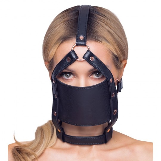 HEAD HARNESS WITH A GAG