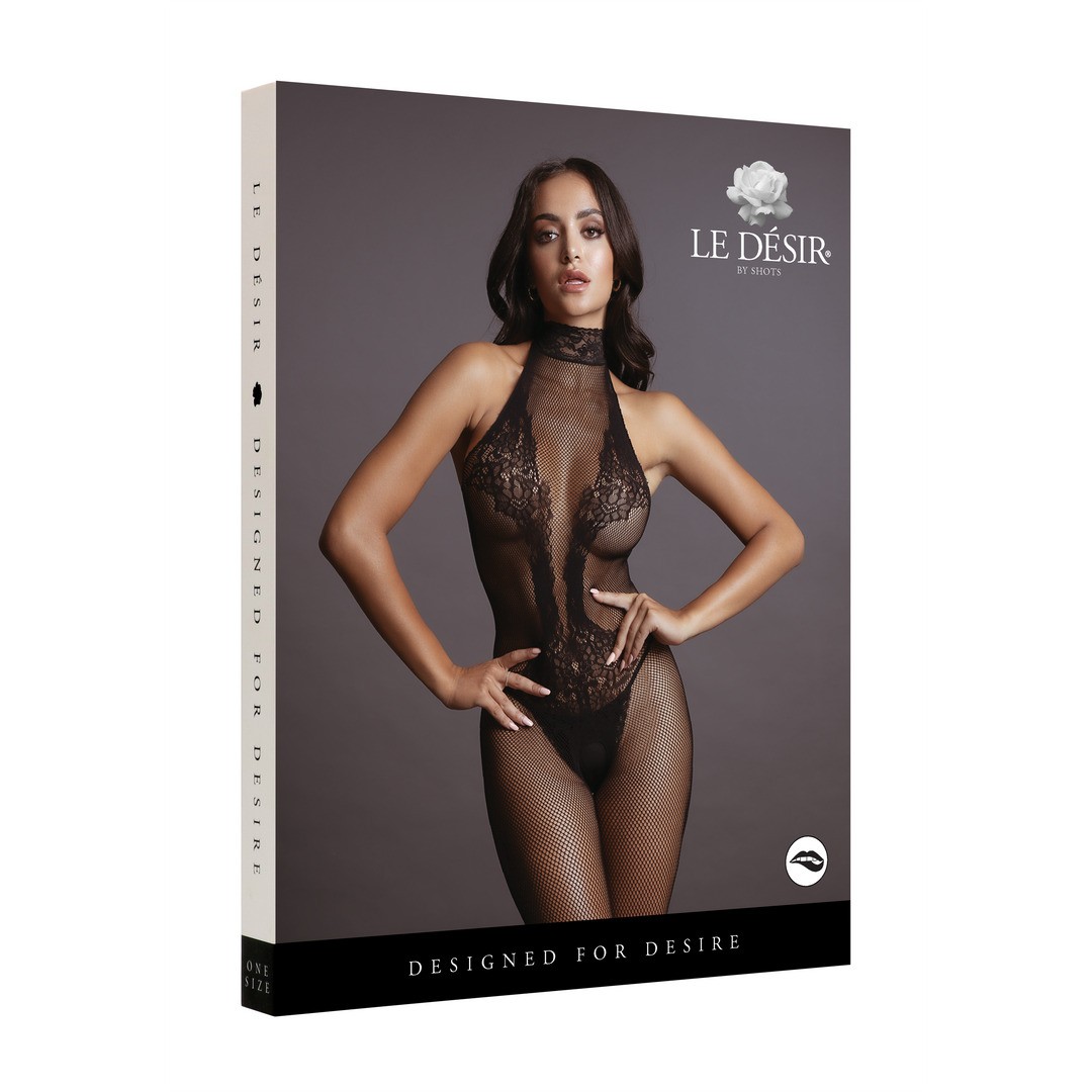 FISHNET AND LACE BODYSTOCKING - ONE SIZE