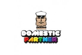 DOMESTIC PARTNER